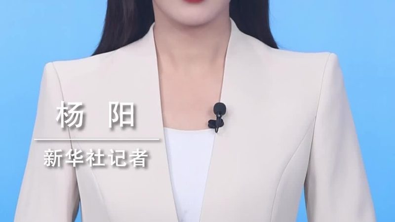 软件测试和开发培训区别